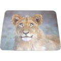 Mousepads