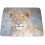 Mousepads