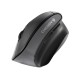 Cherry MW 4500 wireless Mouse black (JW-4500) (CHRJW4500)