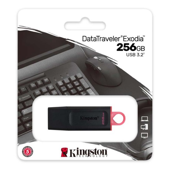 Kingston DataTraveler Exodia 256GB USB 3.2 Gen 1 (DTX/256GB) (KINDTX/256GB)